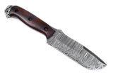 Ottoza Handmade Damascus Hunting  Knife & Wood Handle No:407